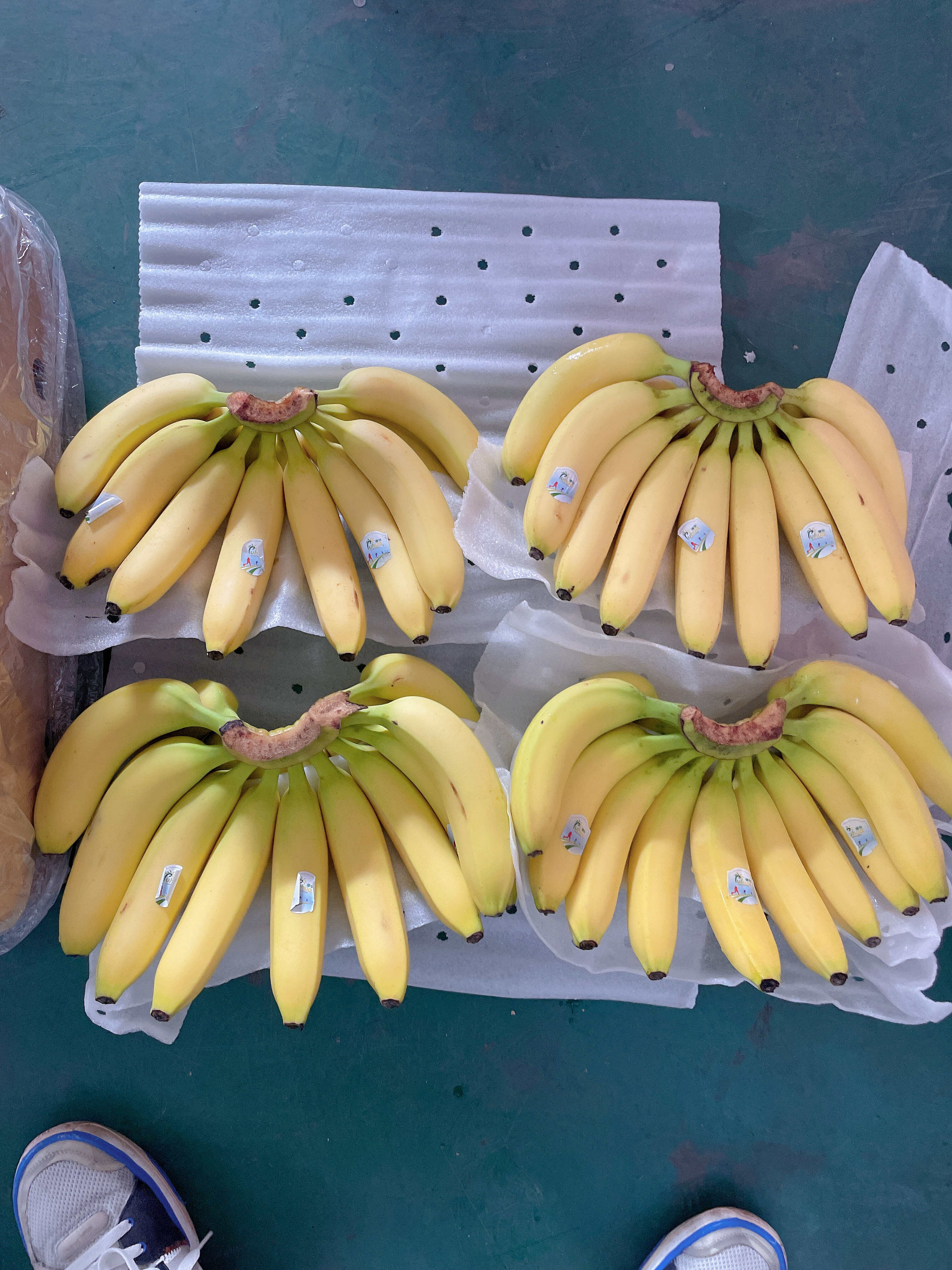 常年经营：新鲜拆柜菲律宾精品蕉、二级青蕉，黄蕉￼果面干净