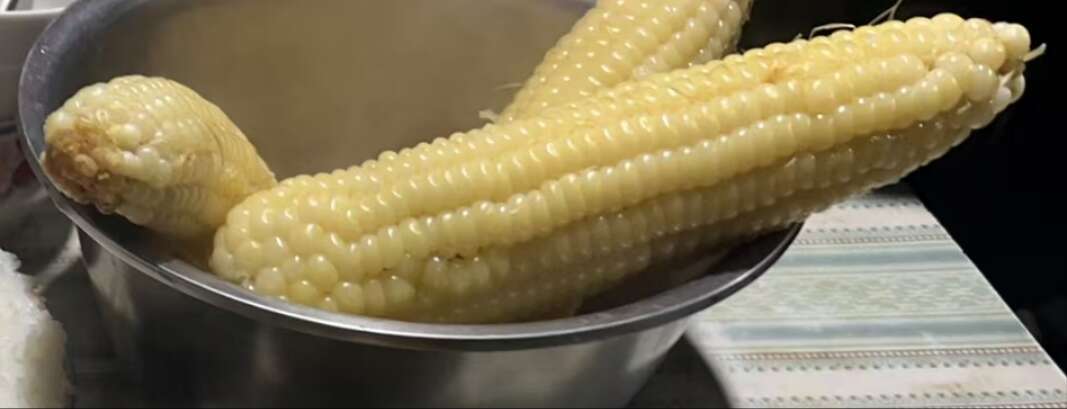 辽阳未脱粒玉米