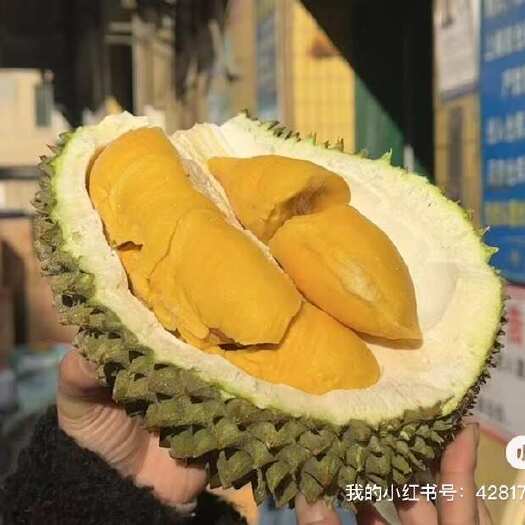 广州江南市场水果批发代采