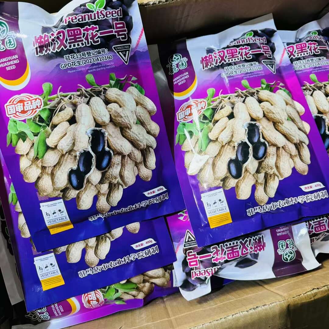 航园黑花生懒汉黑花一号黑花生种子 早熟大粒国审黑花生种子