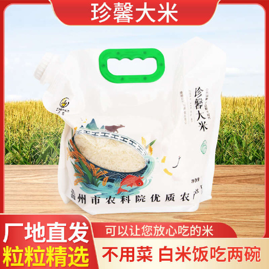 温州温州农科院自产自销泰两优217优质大米