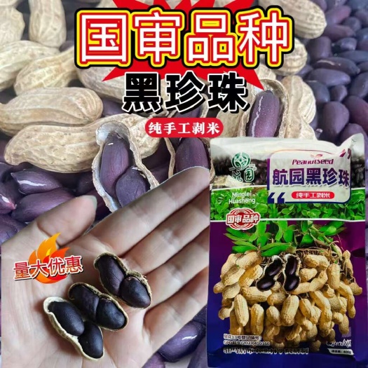 宿迁黑花生种子 航圆黑珍珠黑花生种子 400克一袋现货批发