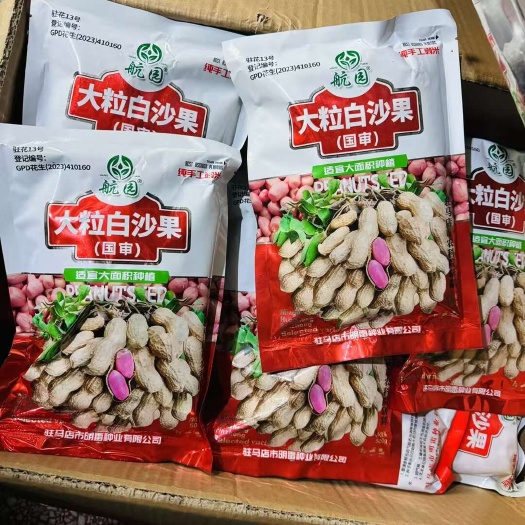 国审大粒白沙果花生种子 矮秧大白沙花生种子
