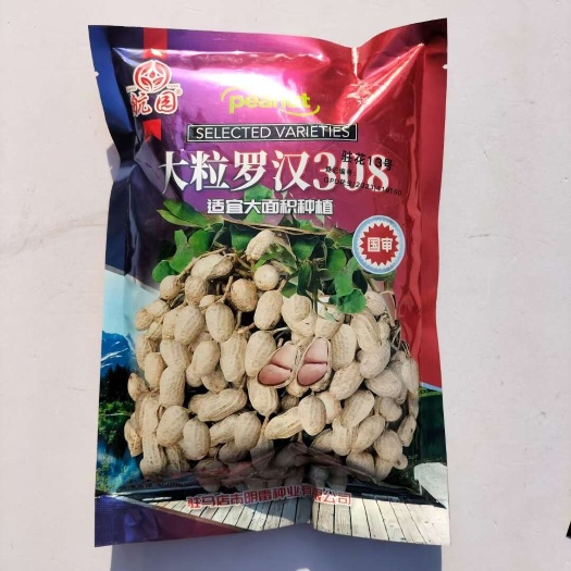 罗汉308花生种子国审大粒花生种子 驻花13号花生种子
