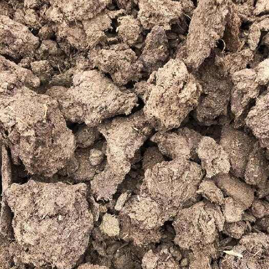 上蔡县牛粪发酵有机肥5斤包邮农家肥牛粪腐熟纯牛粪块干牛屎粪通用肥料