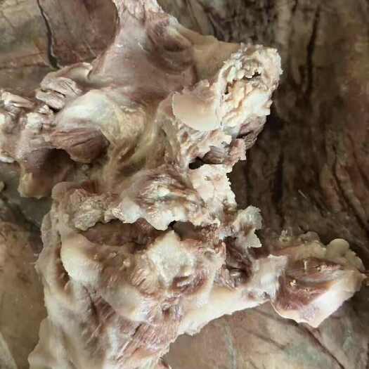 牛头腩牛腩牛副牛杂产品广东一手货源批发支持货到付款