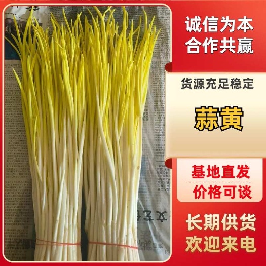 沂南县小把蒜黄。净瓣