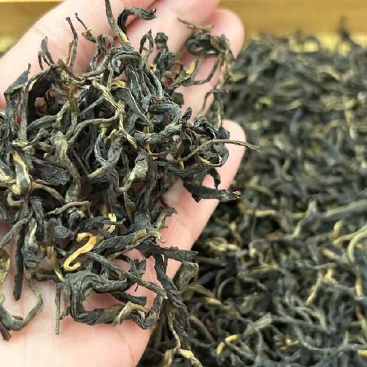 古树滇红