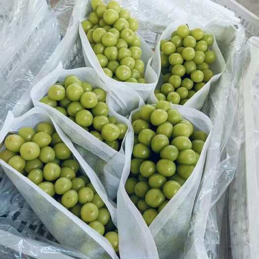 营口辽宁营口阳光玫瑰葡萄 单克重量15，口甜 贼甜，货好，认赔了