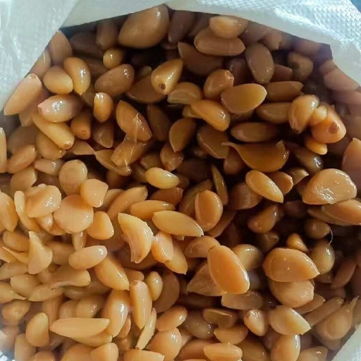 临沂盐水蒜米！可出口可内销！