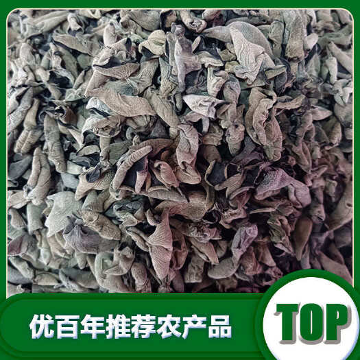 沈阳抚顺单片无根黑木耳