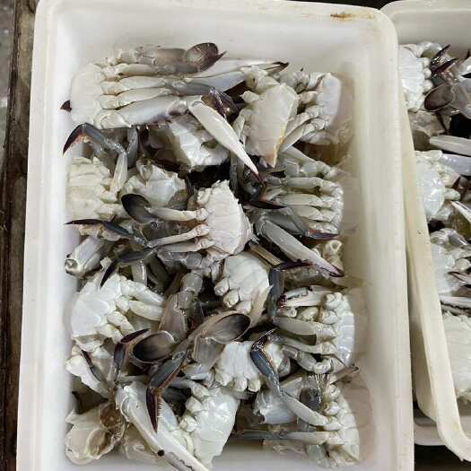 东山县三眼蟹 切蟹
