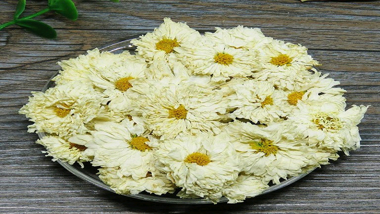 积石山县贡菊生长于高海拔山地，既有观赏价值又有药用价值