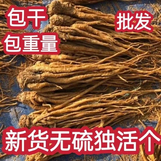 亳州独活中药材独活个批发零售价格优惠产地直销