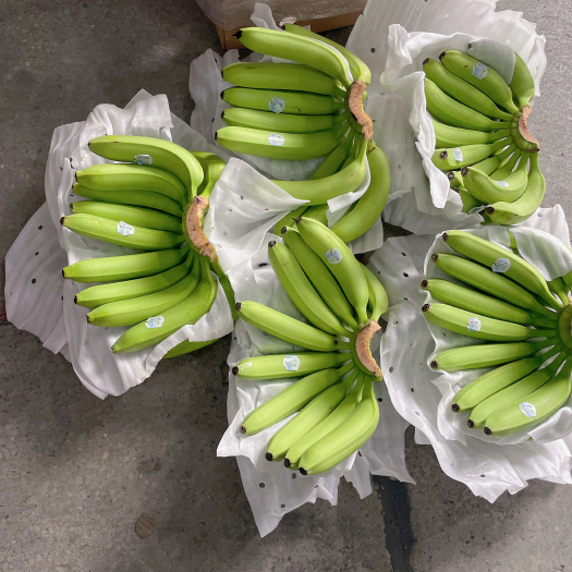 常年经营：新鲜拆柜菲律宾精品蕉、二级青蕉，黄蕉￼果面干净