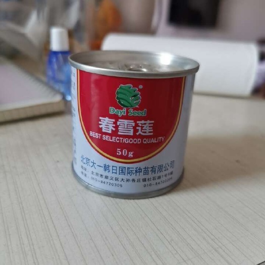 春雪莲杂交白萝卜种子原装50g罐北京大一国际种苗有限公司