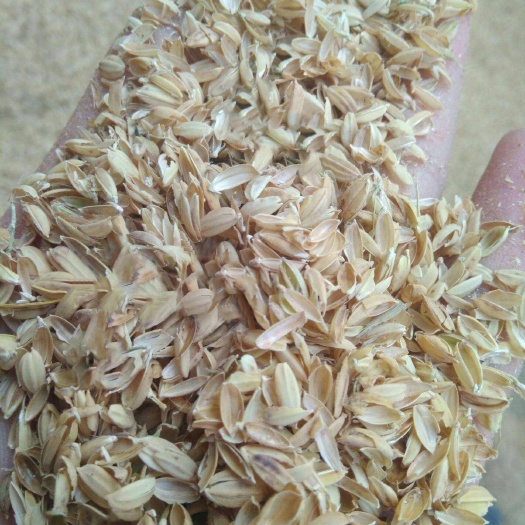 镇赉县新稻壳稻糠糠麸腐熟稻谷壳 农村鸡鸭鹅家禽家畜饲养肥料宠物垫材