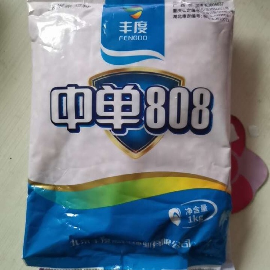 中单808杂交玉米种子原装正品1公斤国审玉米种子原装