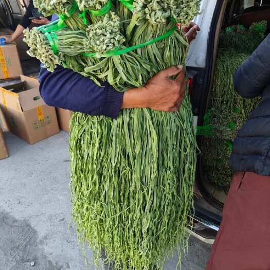 漾濞县贡菜新鲜贡菜新货干菜