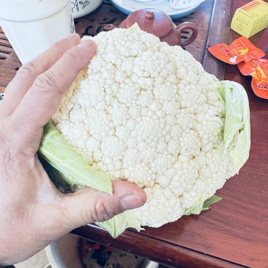 九江九江濂溪区优质白花菜花新鲜现摘当天发货蔬菜甘蓝类