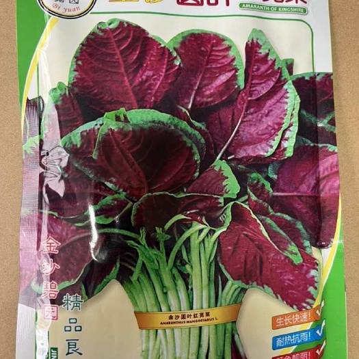 红苋菜种子圆叶红苋菜种子 生长快速耐热抗湿品质好200克￼