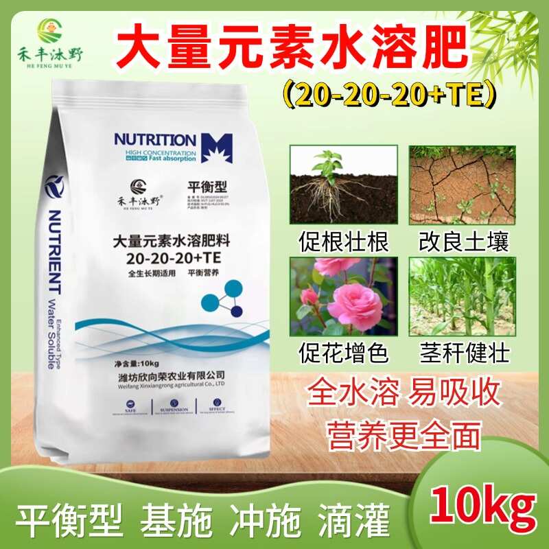 潍坊平衡20-20-20+TE大量元素水溶肥氮磷钾促花促果冲施肥