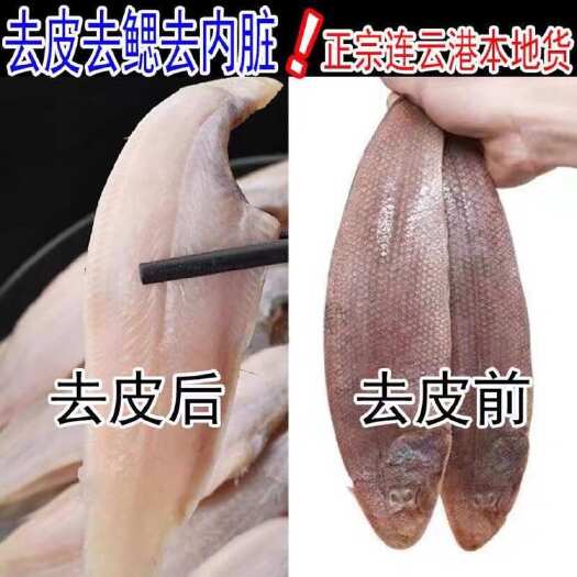 连云港舌头鱼三去新捕龙利鱼新鲜处理舌鳎鱼鳎目鱼去皮去鳃去内脏舌头鱼