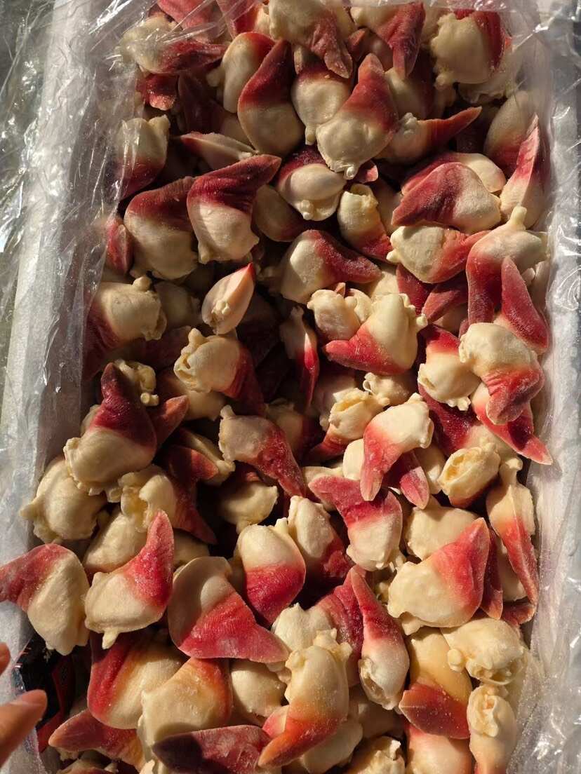 原汁北极贝原汁兰花蚌刺身食材三文鱼拼盘伴侣食材海鲜自助食材