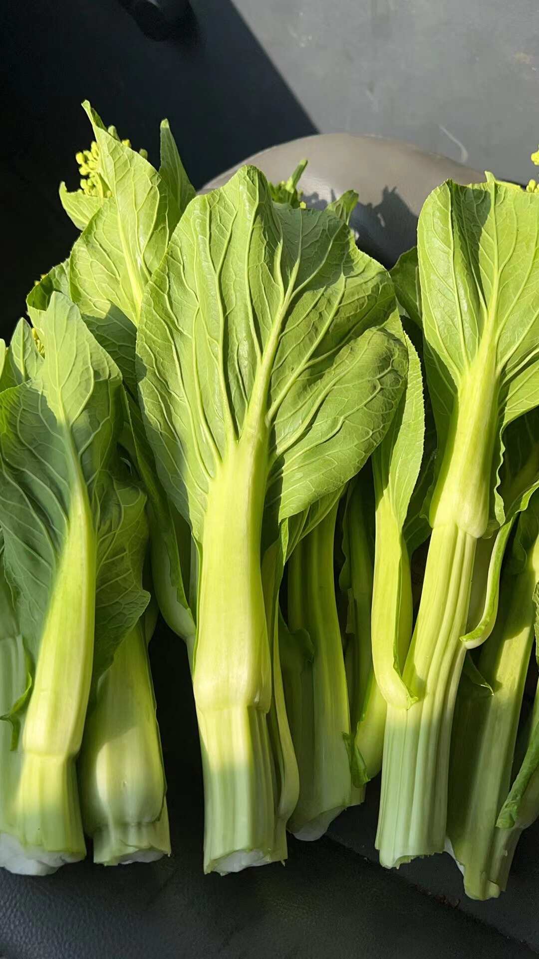 露天种植基地直供