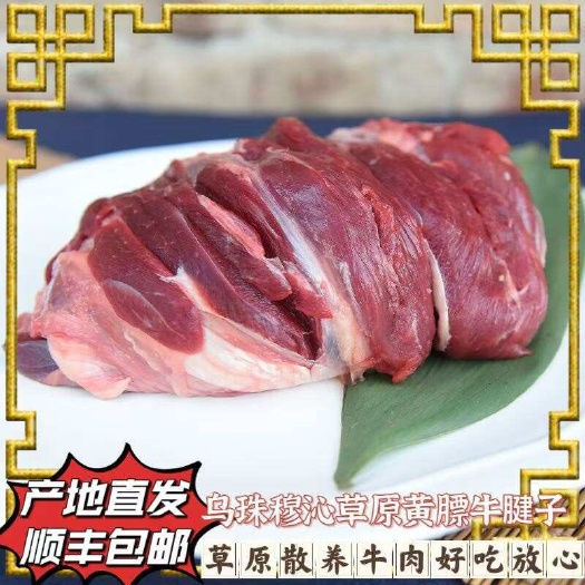 呼和浩特內蒙古锡盟乌珠穆沁黄膘牛腱子5斤