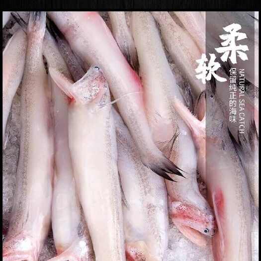 去头豆腐鱼龙头鱼九肚鱼龙头水潺流鼻鱼狗母鱼虾潺丝丁鱼