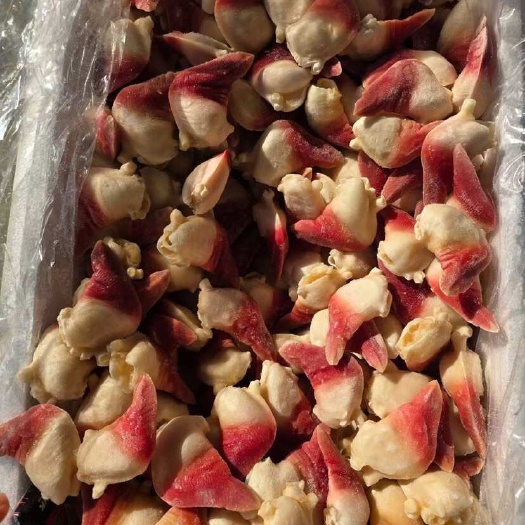 连云港原汁北极贝刺身切片即食寿司三文鱼甜虾拼盘伴侣商用日料寿司食材