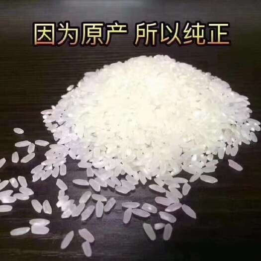 五常市柳老根稻花香二号大米自产自销