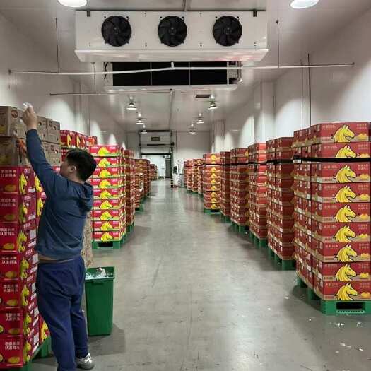 杭州优惠精品二级青蕉，果面干净，不受寒，无硬心无黑心，只要几毛钱