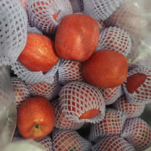 瑞香红大量供货中