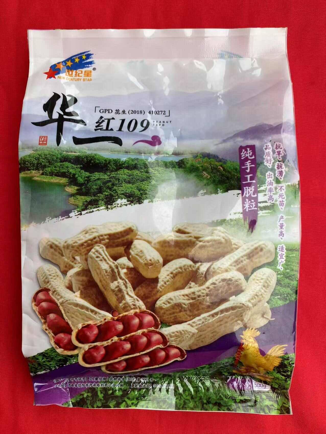 四粒红花生种子纯手工花生种子新种子华一红花生种籽