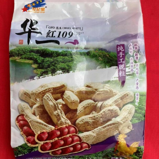 衡阳县四粒红花生种子纯手工花生种子新种子华一红花生种籽