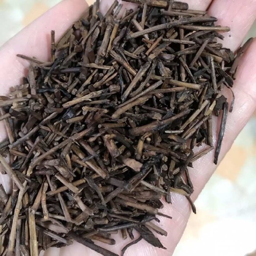 洪洞县洪洞大叶茶棒棒茶饭店专用浓香焦香耐泡型洪洞棒棒茶