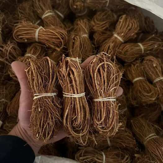 灵山县五指毛桃［精品］小扎捆