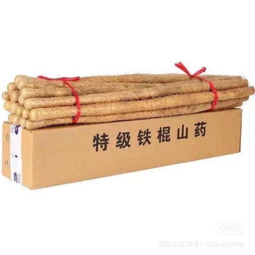 温县正宗焦作温县铁棍山药