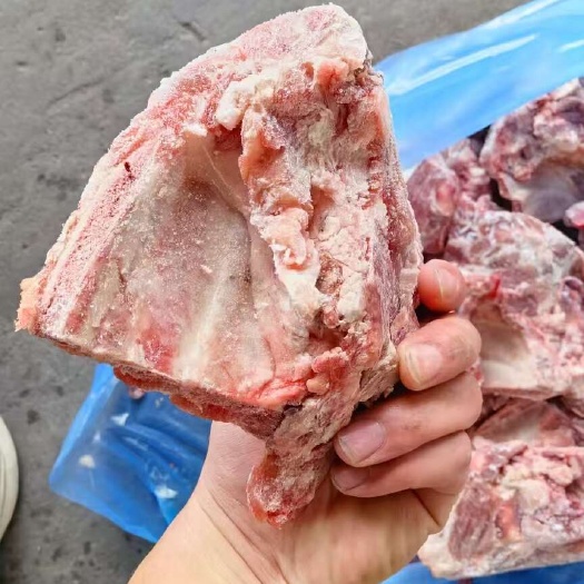 临沂加拿大270a小排有七吨货肉量多品质好   复购多
