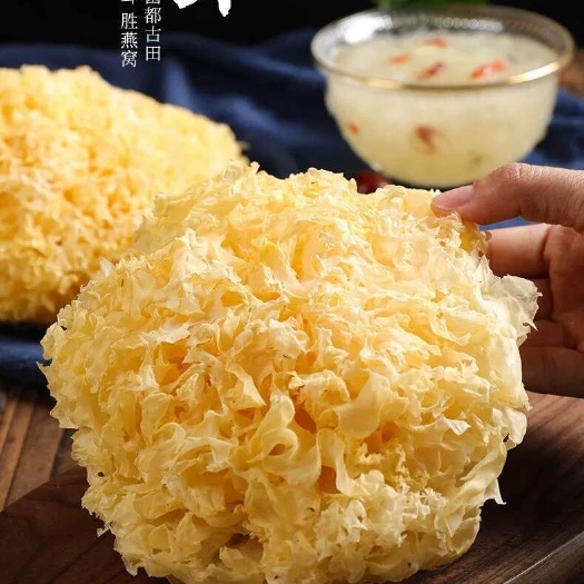 【银耳专批】来自中国食用菌之都古田银耳天然无硫