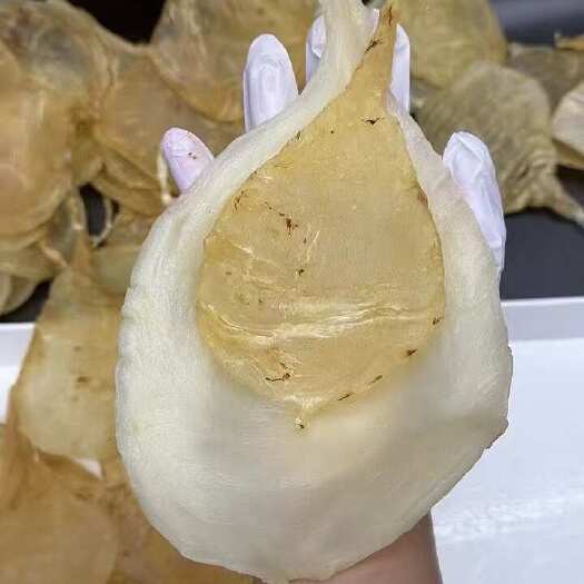 汕头柔肉斗湖鱼胶，老货24头