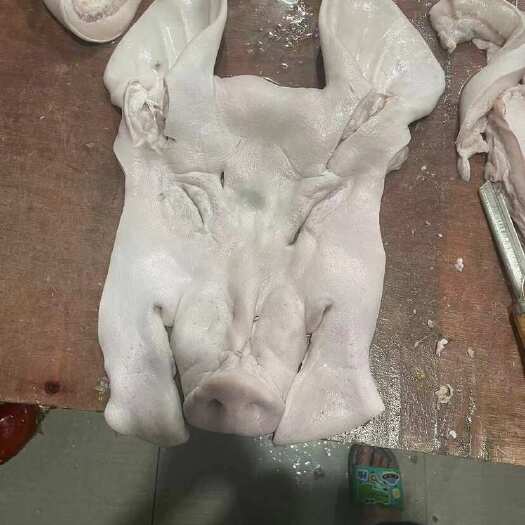 整张带耳头皮