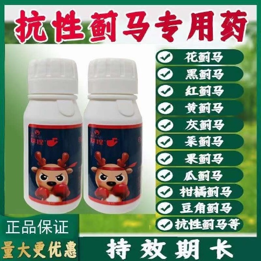 蓟马药拿捏蓟马杀虫剂蓟马绝杀蓟马专用药 杀蓟马克星虫卵双杀