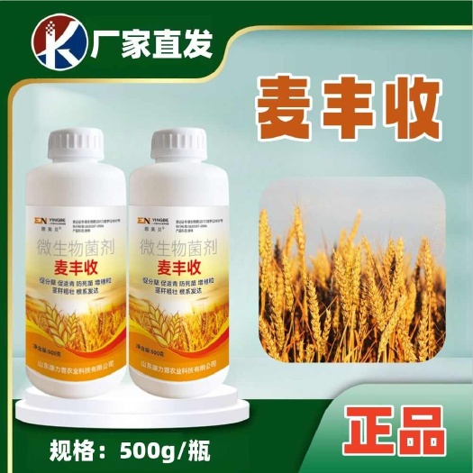麦丰收麦黄金小麦专用肥增产小麦促生长抗倒伏正品叶面肥料