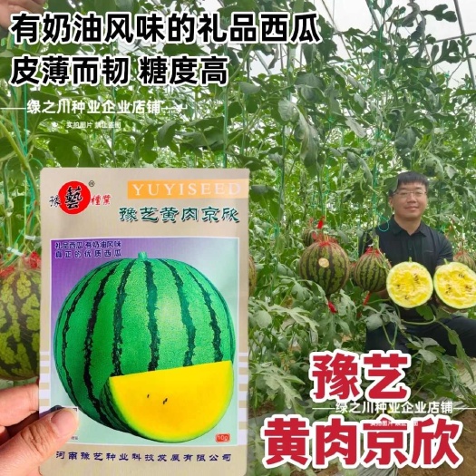 黄肉京欣西瓜种子奶油风味礼品西瓜种籽早熟皮薄超甜黄瓤小西瓜种