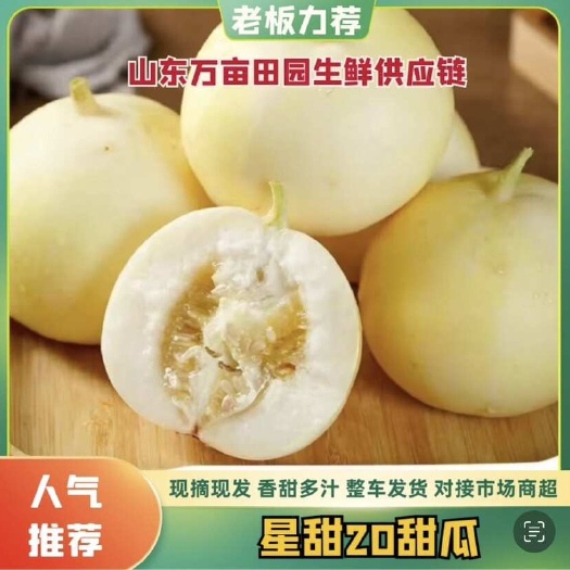 昌乐县星甜20小蜜蜂甜瓜清香解腻香甜可口量大优惠品质保证按需做货