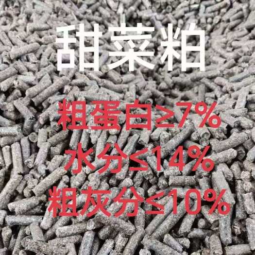 广州甜菜粕（俄罗斯）