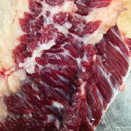 新右旗呼伦贝尔西旗羊肉